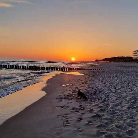 Jantaris B31 Daire Mielno (Koszalin)